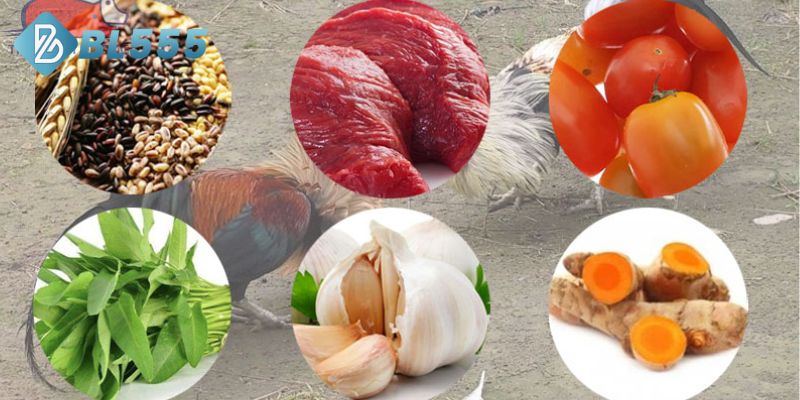 Cách nuôi gà đá cựa dắt bằng sự đang dạng thức ăn